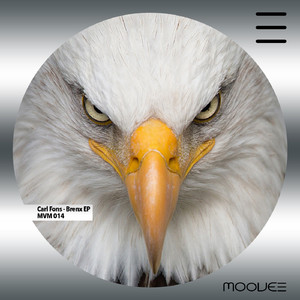 Efected Bass (Original Mix)