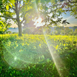 Пробуждение (feat. Ксения Акимова) [Instrumental]