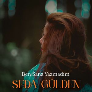 Ben Sana Yazmadım