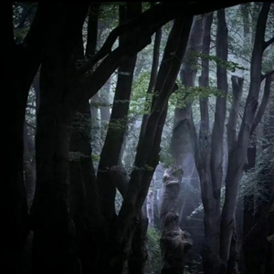 学不会（纯音乐）