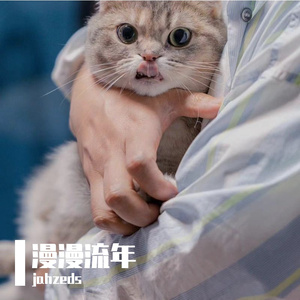 忆AI