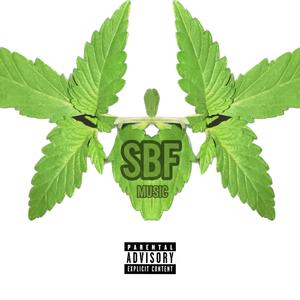 S.B.F 66