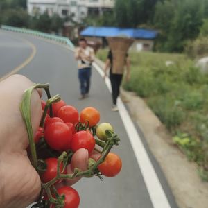 独自一个人走