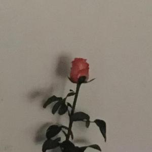 冥中注定