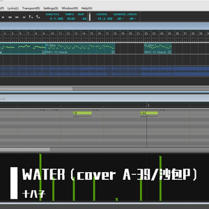 WATER（cover A-39/沙包P）