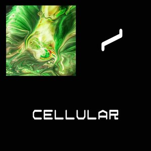 Cellular (Radio Edit)