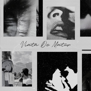 Viata De Matur