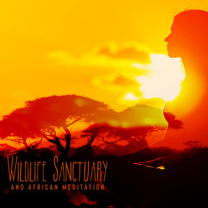 African Lullabies (Kalimba, Drums)