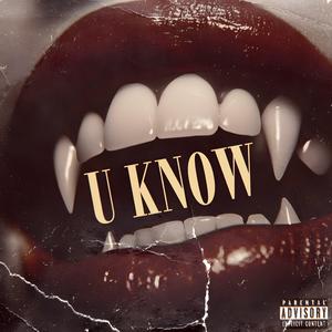 U KNOW (Radio Edit)