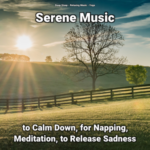 Serene Music to Calm Down Part 85