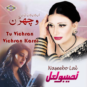 Tu Vichran Vichran Karni