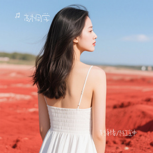 转身缘尽红尘中