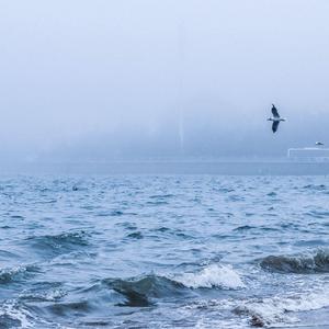 世上只有爸爸好丨白噪音