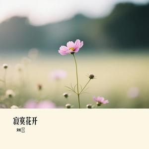 寂寞花开
