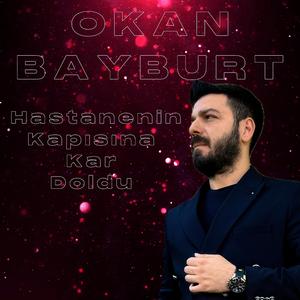 Hastanenin Kapısına Kar Doldu