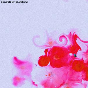 Season of Blossom（Mai 玩具盒 bonus）
