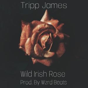 Wild Irish Rose