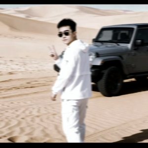 不可代替却如鸿毛