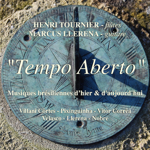 Dengues da Mulata Desinteressada