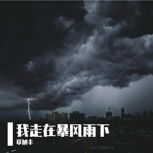 我走在暴风雨下
