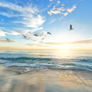 新たな旅立ち (feat. GUMI)