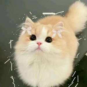 She Don't Like The Lights (sped up)