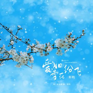 爱如雪花纷飞