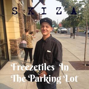 K.K. Sky Cruisin' Animal Crossing Melody