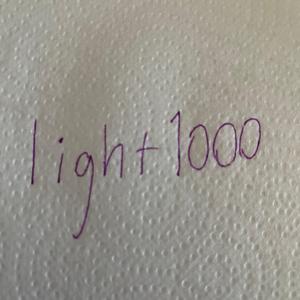 light 1000