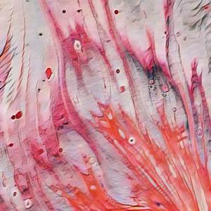 Isotopic