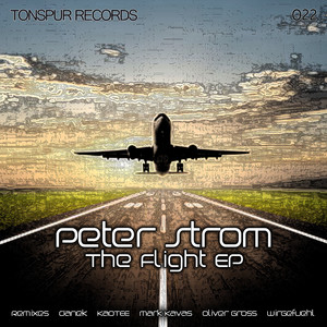 The Flight (Wirgefuehl Vielflieger Remix)