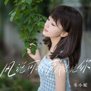 风说可以带我去见你 (柔情版)