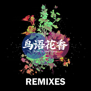 JIN DJs-鸟语花香 (VESK GREEN REMIX)（JINACTION / VESK GREEN remix）