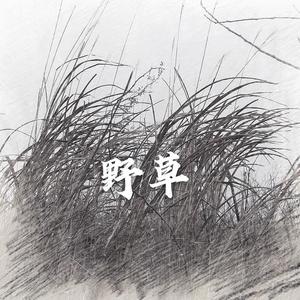 野草