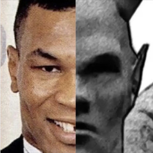 PRIVET PRIVET 2009 ST (SLOWED)