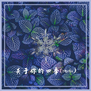 关于你的四季(remix)