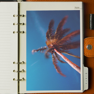 날씨가 좋았던 날