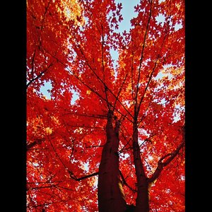 摆烂freestyle PROD BY MEGA