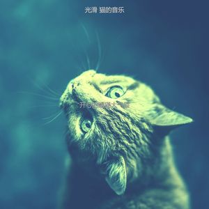 抚慰的睡猫回忆