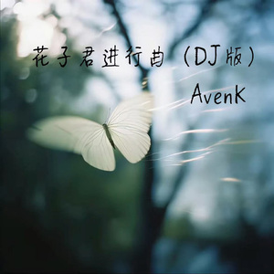 花子君进行曲（DJ版）