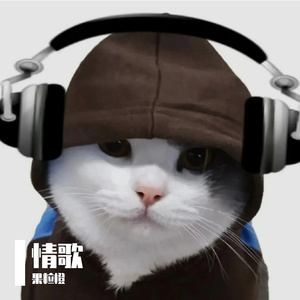 梁静茹-情歌（果粒橙 remix）