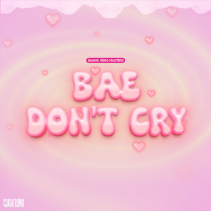 Bae Don't Cry (Remix)