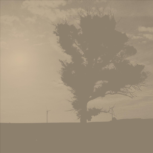 52°28'33.5"n 13°24'27.7"E [20 Km / H]