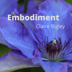 Embodiment