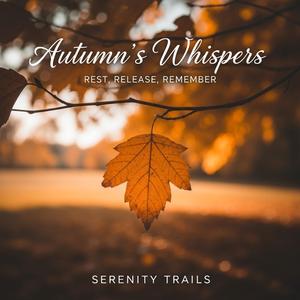 Falling Through Light v3