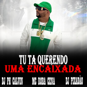 TU TA QUERENDO UMA ENCAIXADA