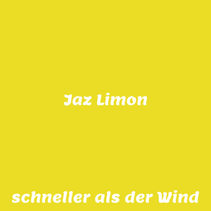 schneller als der Wind