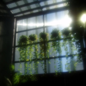 淡想