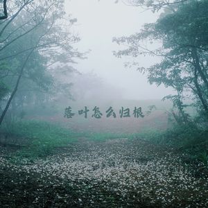 缓缓摇曳 (小提琴版)