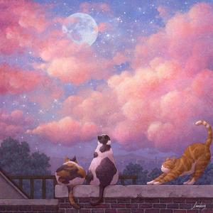 ᵈᵒⁿ'ᵗ ᵗᵅˡᵏ ᵅⁿʸᵒⁿᵉ